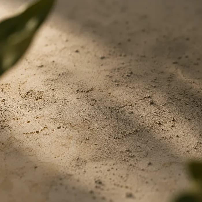 A dusty grey film settled over warm cream stone — standing in for post-pollution dullness.
